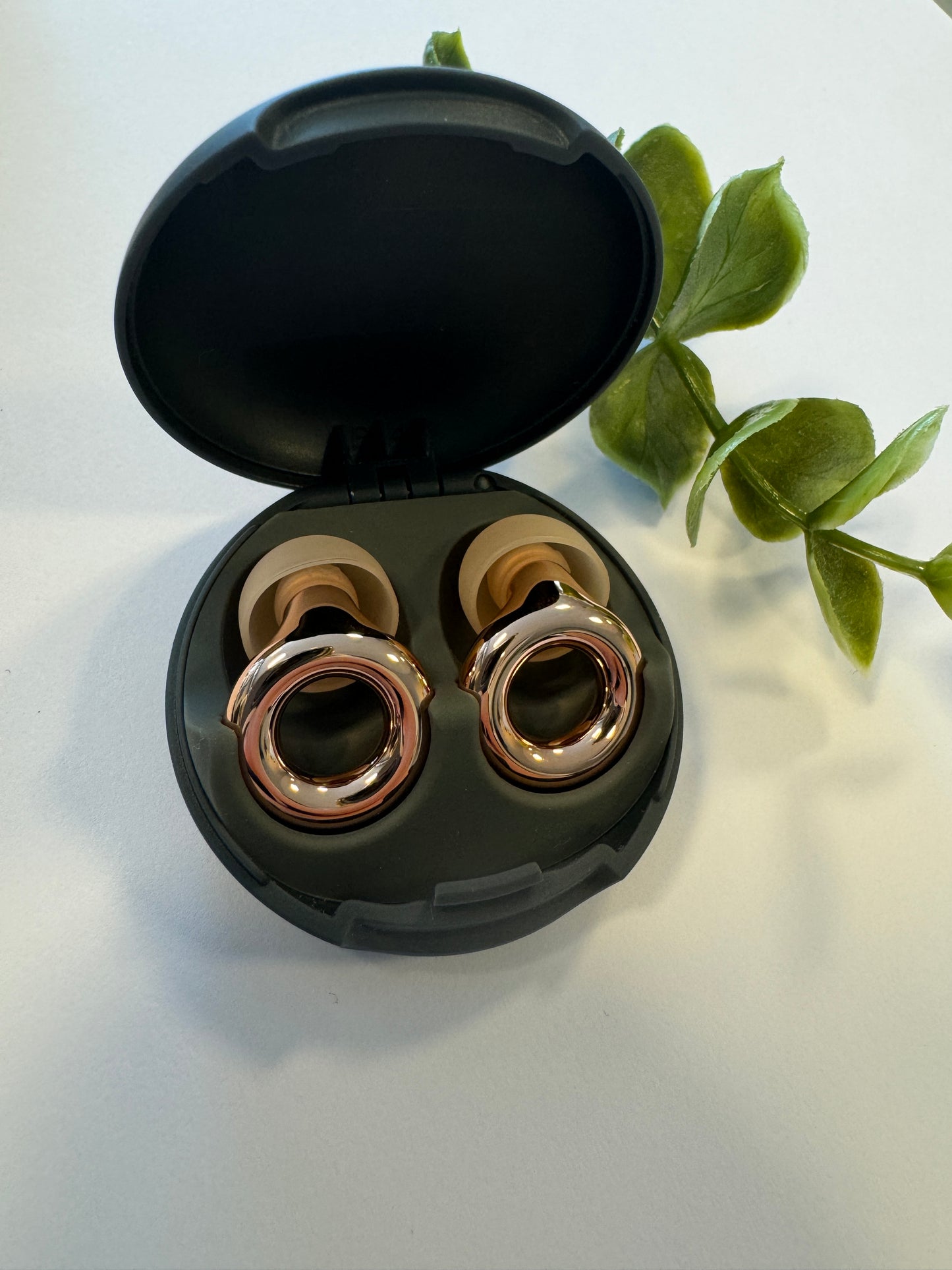 Experience Loop - fyrir tónlist og viðburði