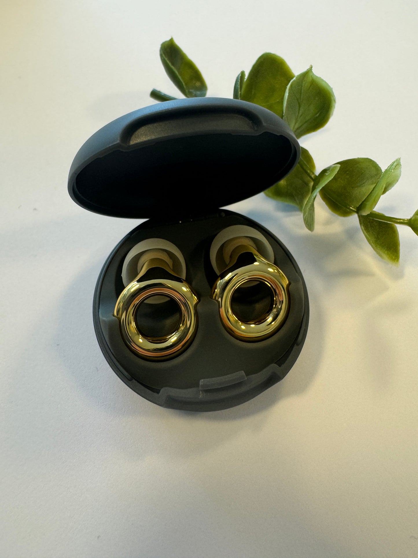 Experience Loop - fyrir tónlist og viðburði