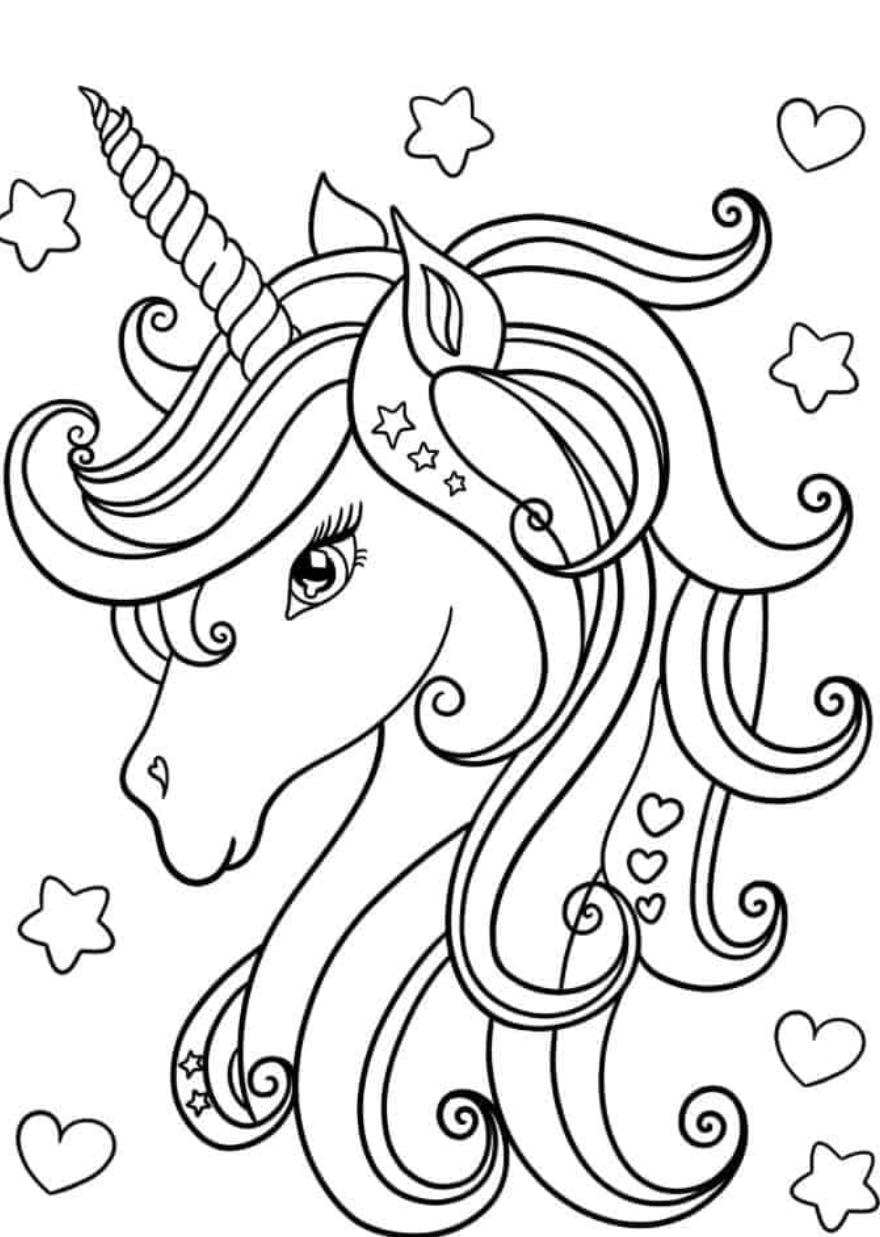 Unicorn litabók