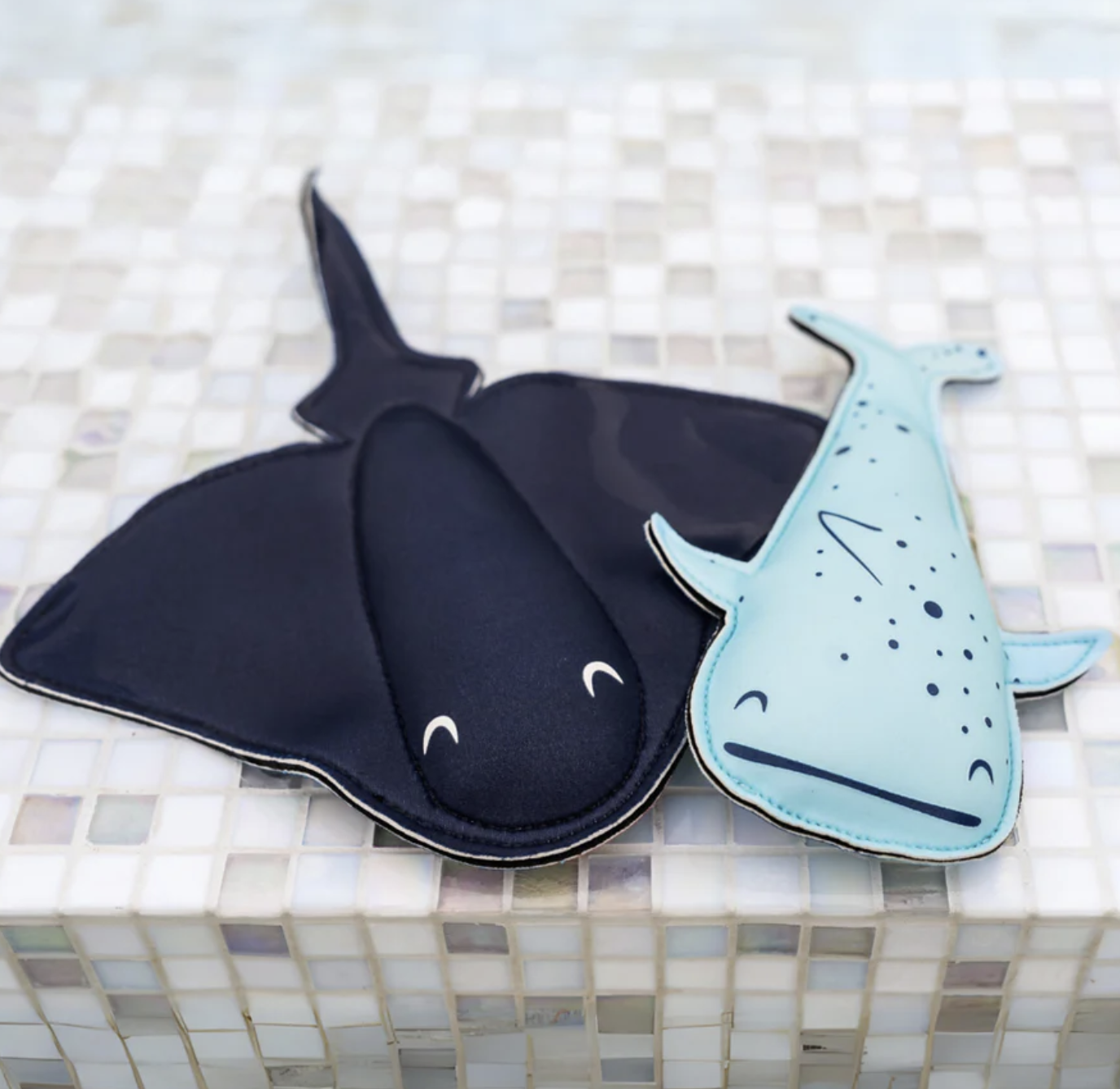 Sunddót hvalur & skata